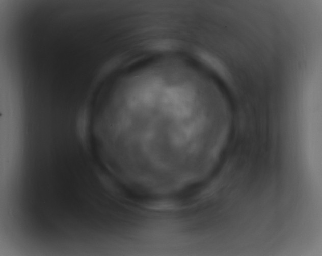 X0000100780058200807031240