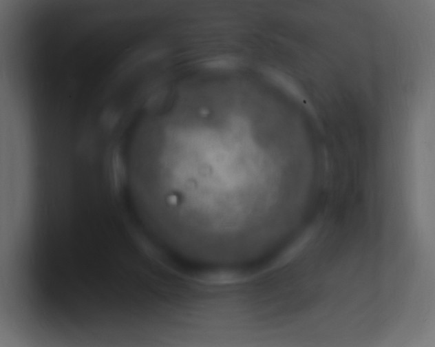 X0000100780061200807031240