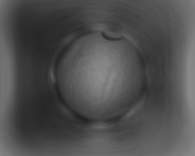 X0000100780062200807031240