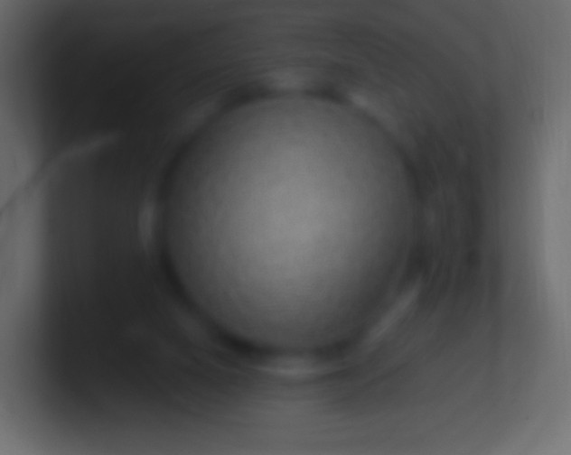 X0000100780066200807031240