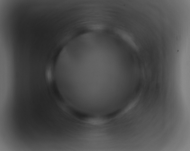 X0000100780069200807031240