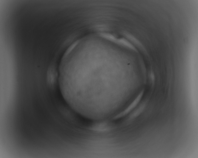 X0000100780072200807031240