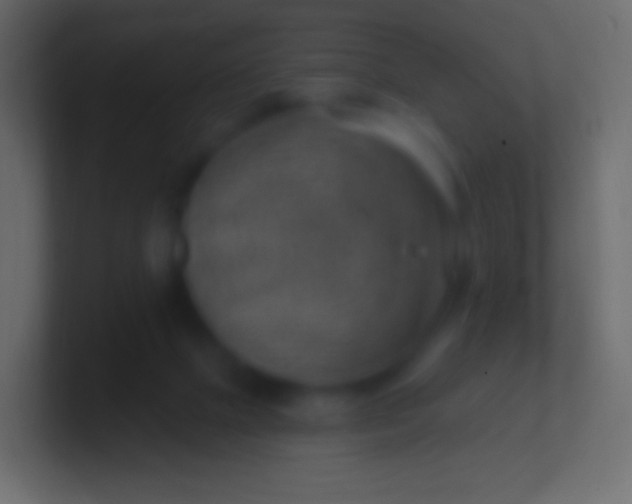 X0000100780073200807031240