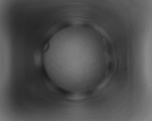 X0000100780074200807031240