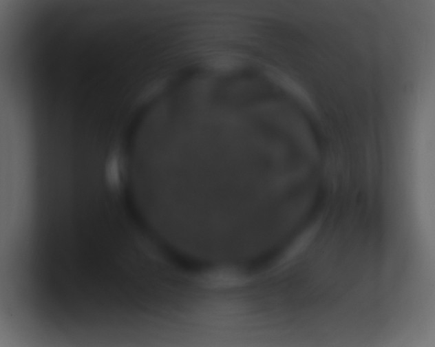 X0000100780076200807031240