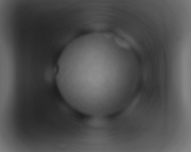 X0000100780077200807031240