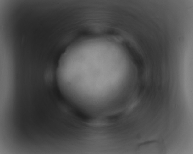 X0000100780078200807031240