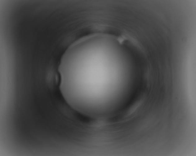 X0000100780079200807031240