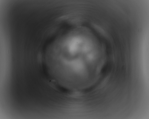 X0000100780081200807031240