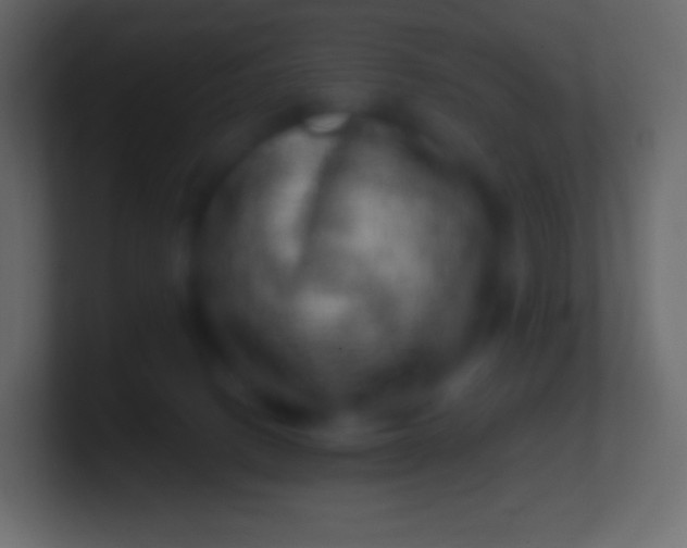 X0000100780082200807031240