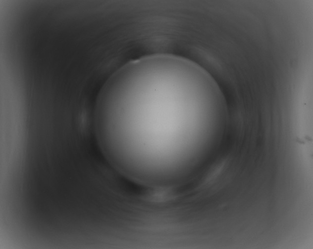 X0000100780088200807031240