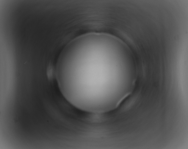 X0000100780089200807031240