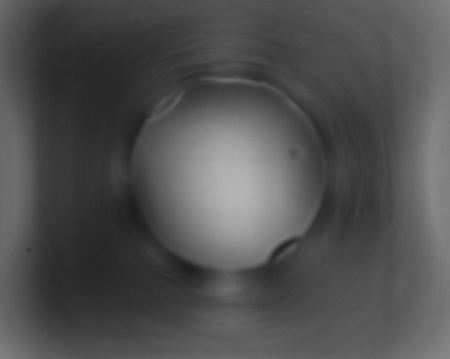 X0000100780091200807031240