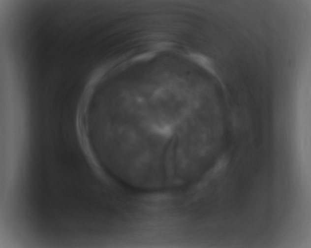 X0000100780097200807031240