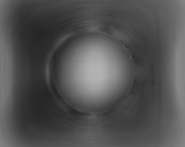 X0000100780098200807031240