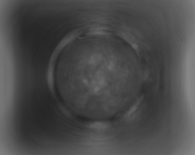 X0000100780101200807031240