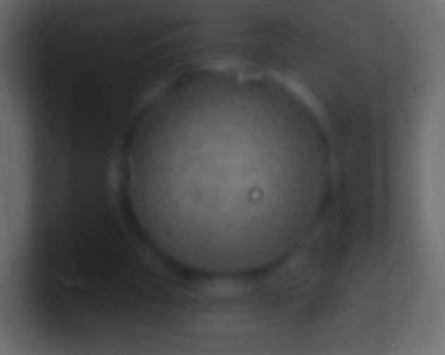 X0000100780105200807031240