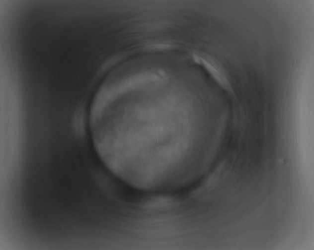 X0000100780107200807031240