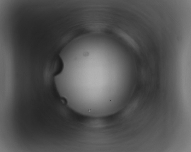 X0000100780113200807031240