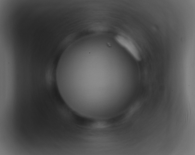 X0000100780114200807031240