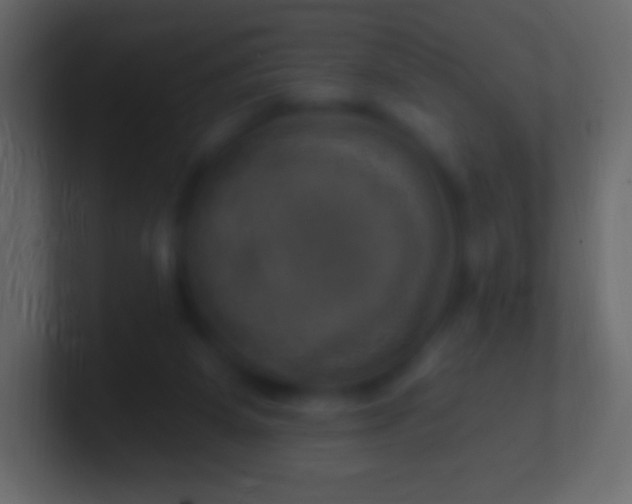 X0000100780115200807031240