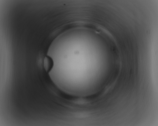 X0000100780119200807031240