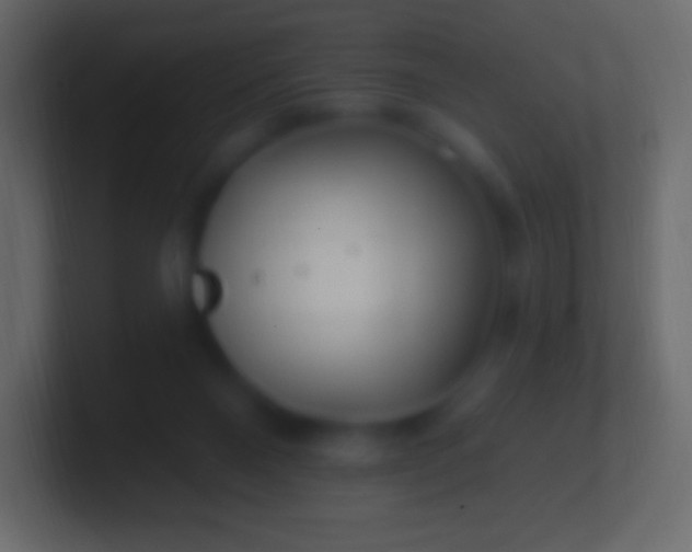 X0000100780120200807031240