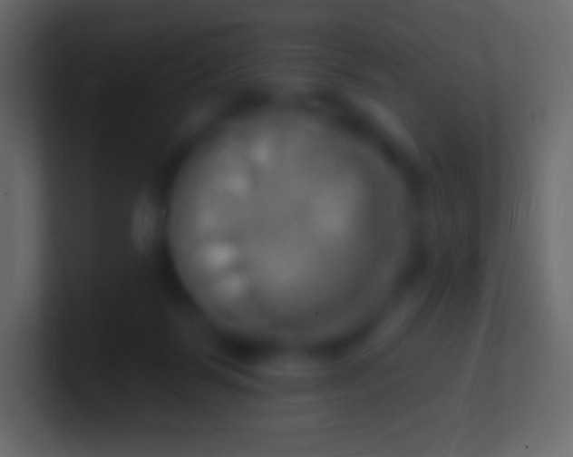 X0000100780123200807031239