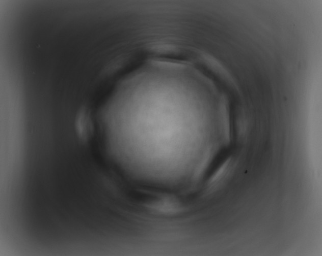 X0000100780124200807031239