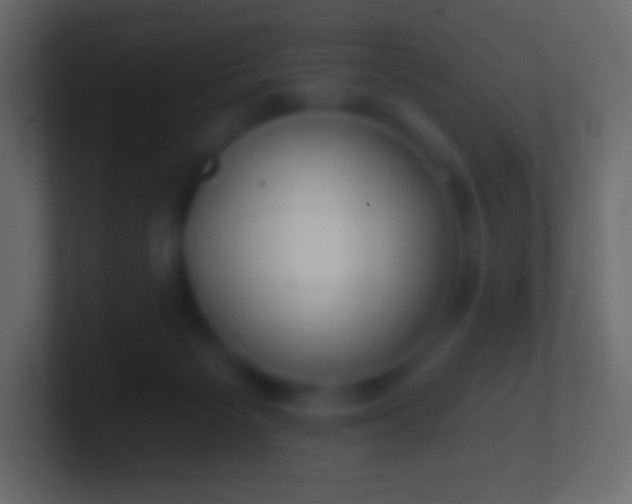 X0000100780125200807031239