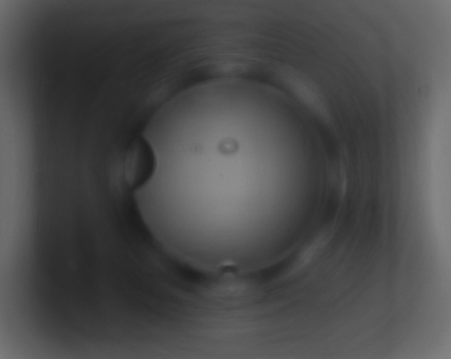 X0000100780127200807031239