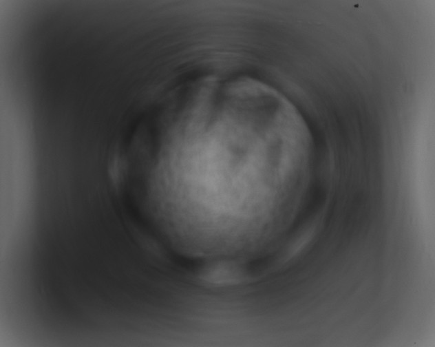 X0000100780137200807031239