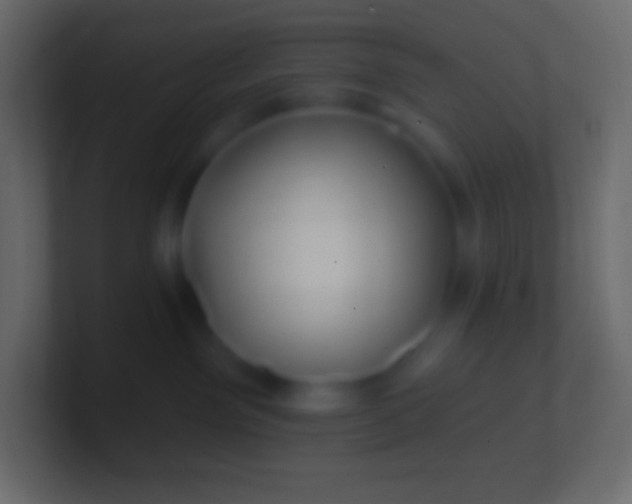 X0000100780141200807031239