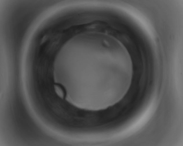 X0000100780143200807031239