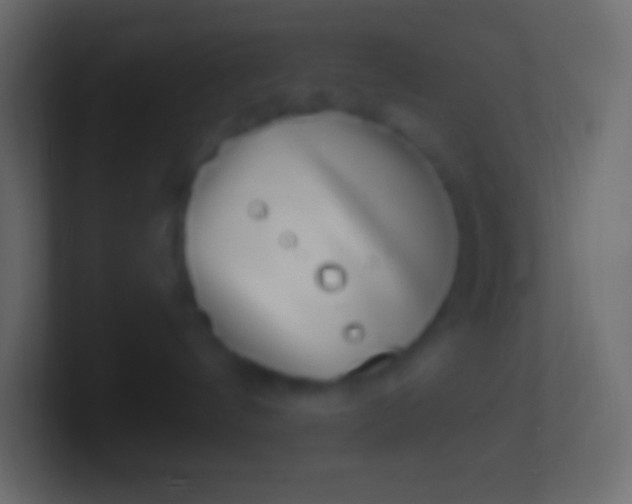 X0000100780144200807031239