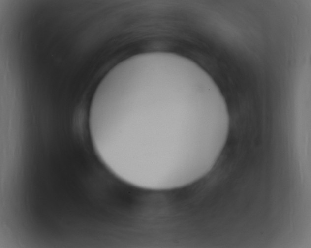 X0000100780146200807031239