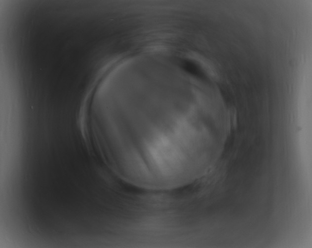 X0000100780147200807031239