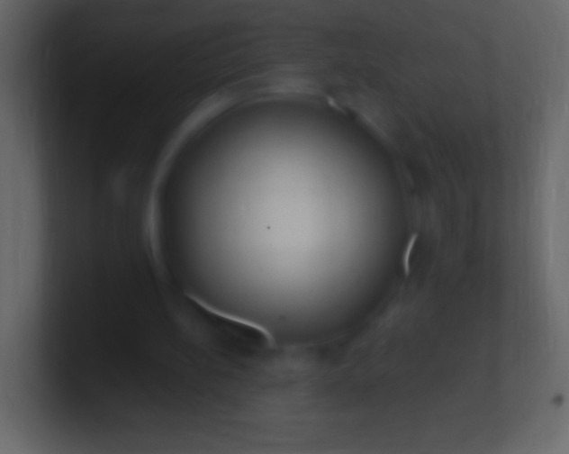 X0000100780148200807031239