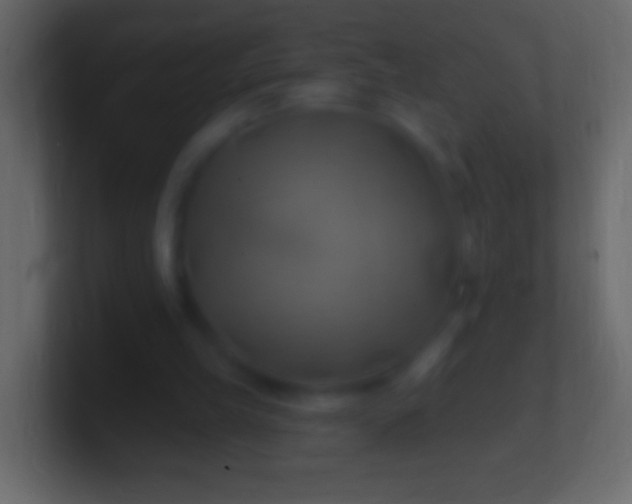 X0000100780149200807031239