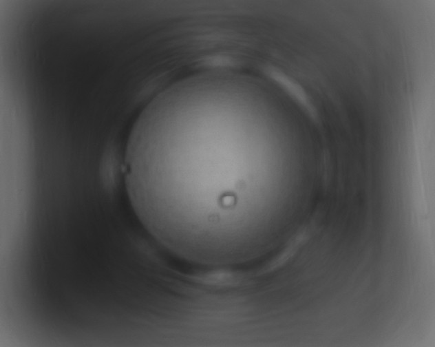 X0000100780153200807031239