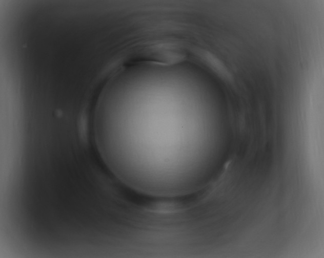 X0000100780154200807031239