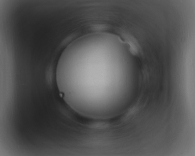 X0000100780155200807031239