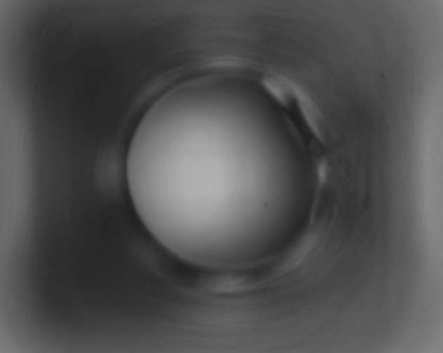 X0000100780156200807031239