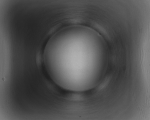 X0000100780164200807031239