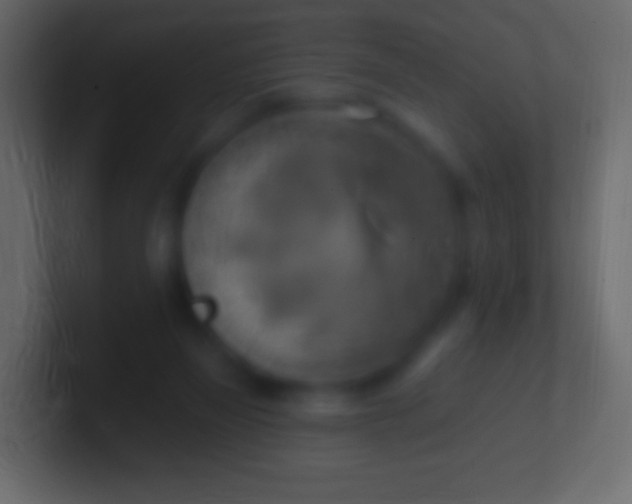 X0000100780165200807031239