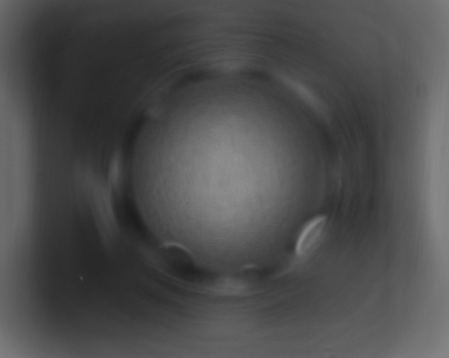 X0000100780166200807031239