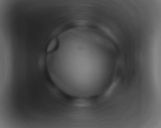 X0000100780167200807031239