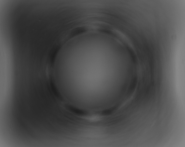 X0000100780169200807031239