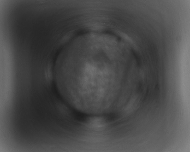 X0000100780170200807031239