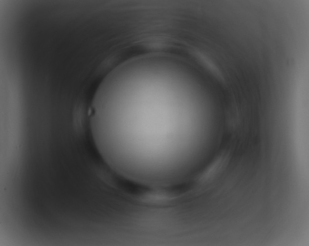 X0000100780171200807031239